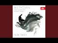 Miniature de la vidéo de la chanson Trio For Piano, Violin And Cello No. 8 In E-Flat Major: Rondo. Allegretto