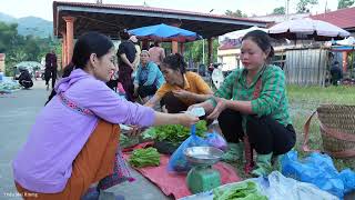 Harvesting Squash to Sell at The Market and Plant New Seeds with Single girl