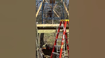 A frame treehouse #treehouse