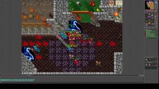 ++Tibia Massive Battle event - Ethania.net 8.6 [HD]++