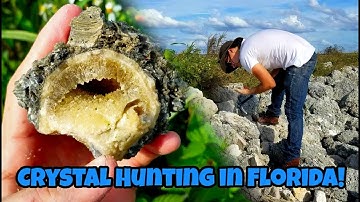 Crystal Hunting in Florida for Calcite Geodes in Fossil Shells 🐚⛏