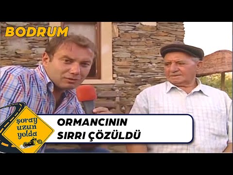 Şoray Ormancı Türküsünün