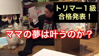 ママの挑戦【トリマー１級検定】結果が届きました