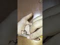 Bakra Eid Mehndi Design 💖❤️ #easymehndidesign#simplemehndi #youtubeshorts#trending #virel #mehndi