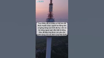 [XKLĐ Hàn Quốc] Có bằng cấp 2 có đi xuất khẩu lao động Hàn Quốc được không? - Relines Hrs