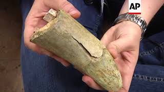 Subway Scientist Seeks Fossils Under Los Angeles