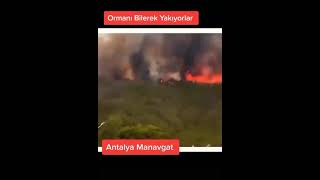 Ormanı Yakarken Yakalandılar..antalya Manavgat Yangını