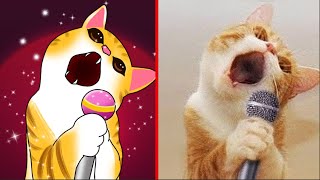 😂Cat Memes: New Funny Animals 2023 😍😁 Funniest Animals 2023 😂😂 Best Cats and Dogs Videos 🐶😸 part 5