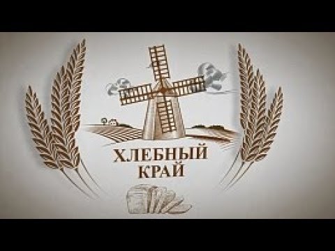 Хлебный край: об урожае твёрдой пшеницы на Алтае в 2018 году
