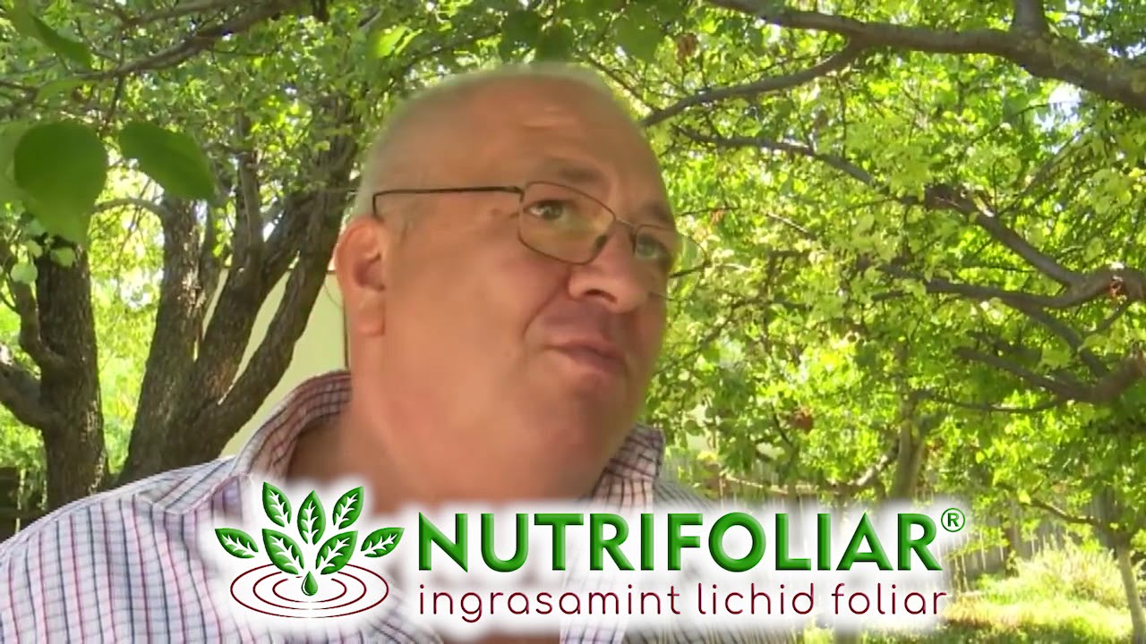 ingrasamant foliar-ingrasaminte foliare grau Video oficial