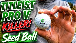 SEED BALL REVIEW - 2025