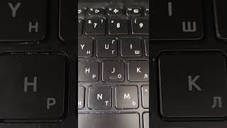 IMG 7232