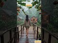 Rainy Jungle Cabin Escape 🌧️🏡#nature #rilaxing #rain #usa