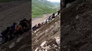 Love for Humanity, Babusar top Accident