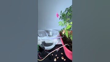 EECS 1011 main project