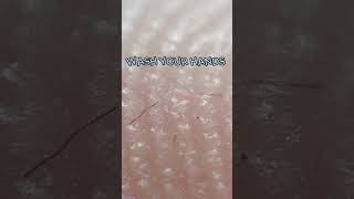 My Finger under the Microscope: Close-up View *SWEATING VISIBLE* #science #interesting #microscope