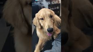 2 De Janeiro De 2023