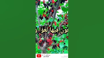 عبد الباسط عبد الصمد .. مقطع من سورة النبأ