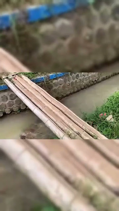 Hanya Enthul yang melihat jembatan ini.