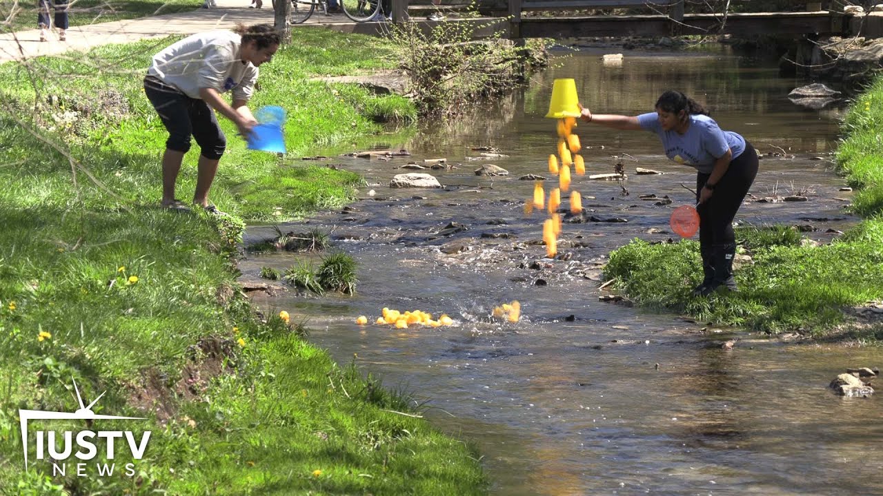 Alpha Phi Omega hosts annual Rubber Duck Race fundraiser | IUSTV News