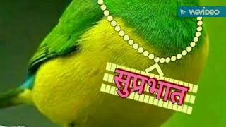 Ompusp .04032018. Kisi Ko Pata Na Chale Baat Ka Ki... Entertainment Video...hd. Video.