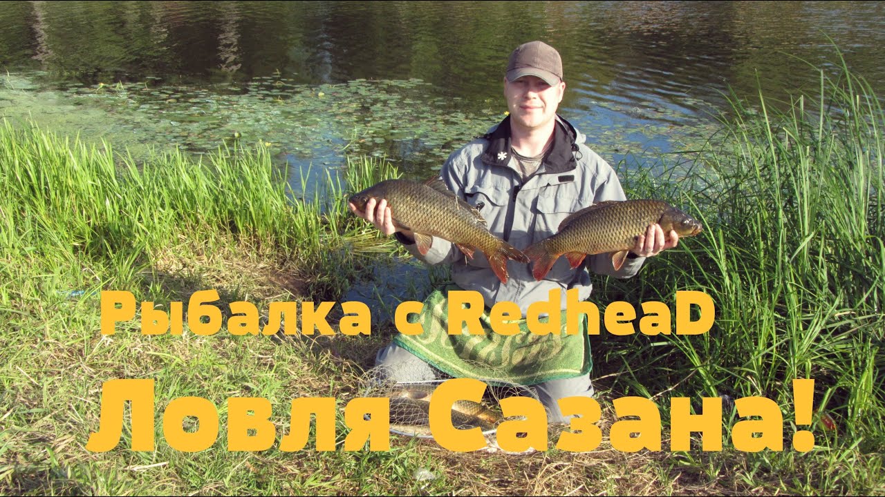 Ловля сазана на оке