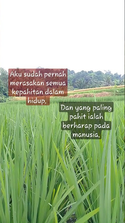 perkataan sayyidina ali bin abi thalib.   #katabijak #sayyidinaalibinabithalib #storywa