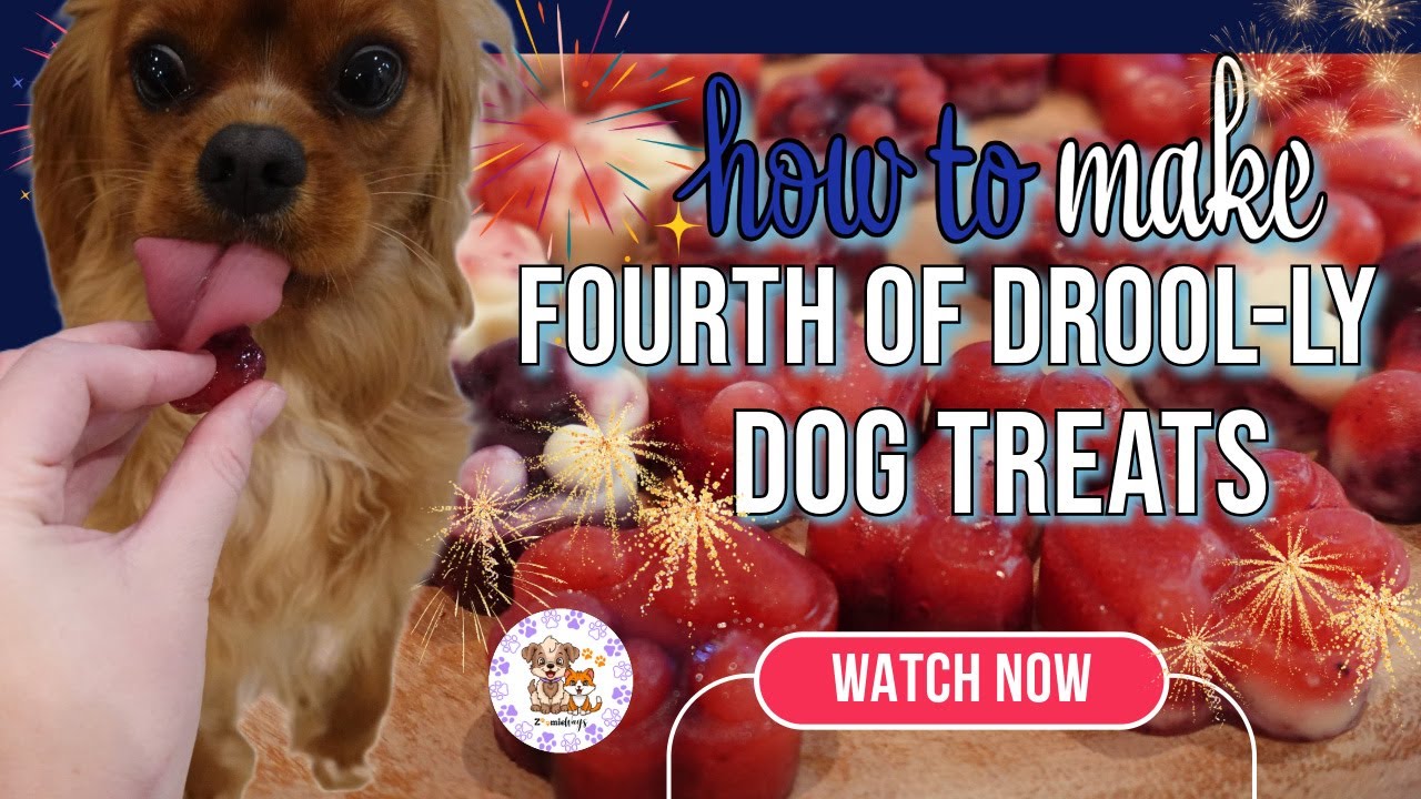 The ULTIMATE Patriotic Frozen Dog Treat Recipe! ❤️🤍💙 DIY Dog Treats for 4th of July