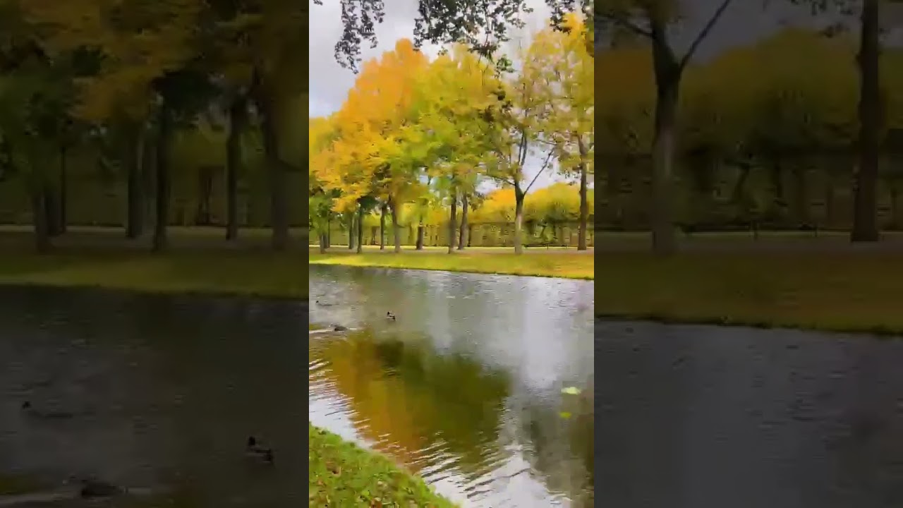 Dies ist die schönste 