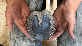 Foundered Horse Gets Handmade Shoes