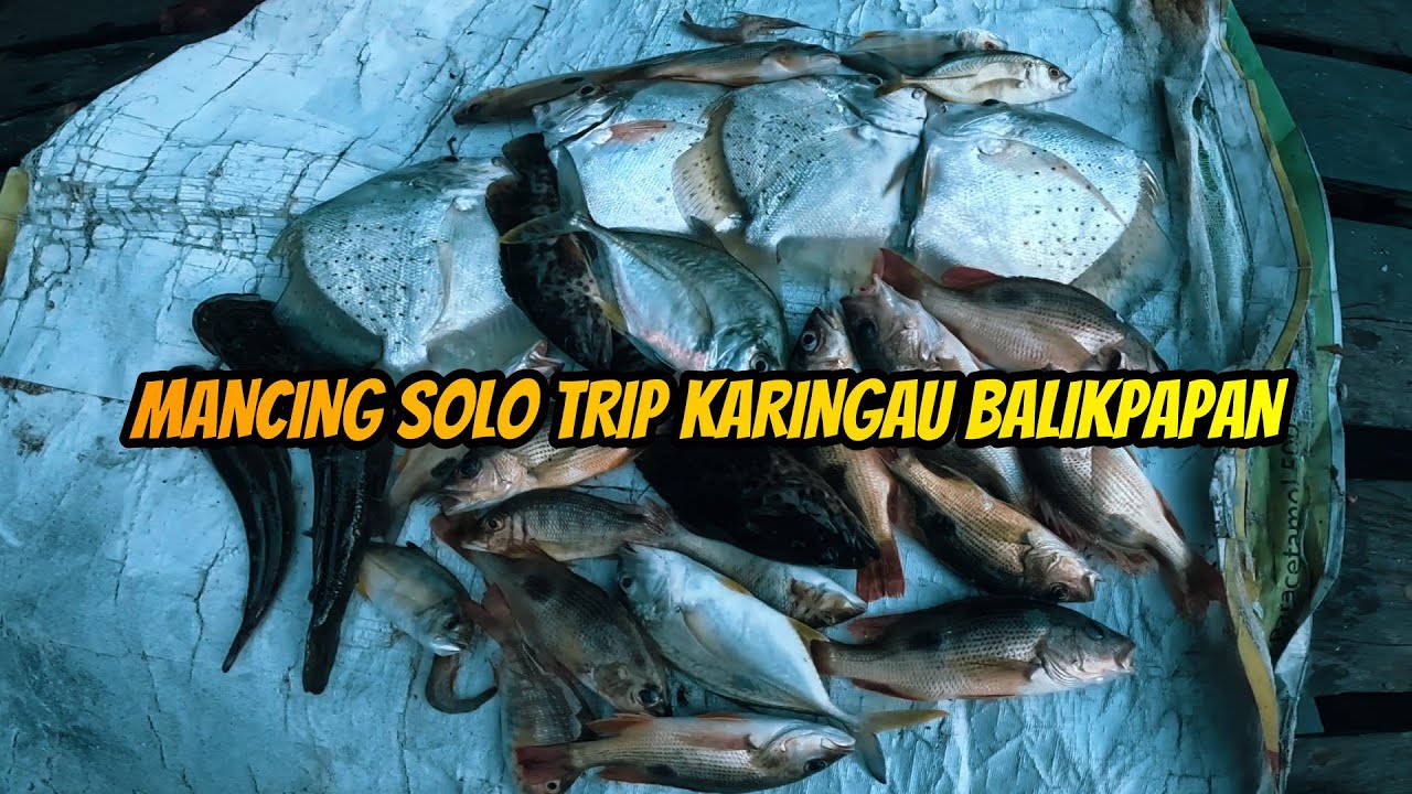 MANCING DI PINTU MUARA PAS AIR GERAK TURUN (KARINGAU/BALIKPAPAN)