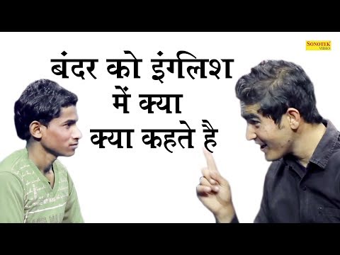 Funny Jokes ka khazana-बंदर को इंग्लिश में क्या कहते है -Jokes in hindi-Funny
videos-Chutkule comedy