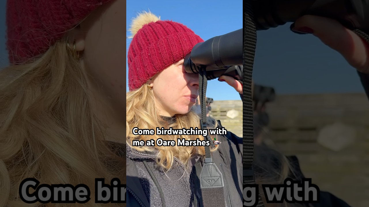 Come birdwatching with me at Oare Marshes 📍🦆