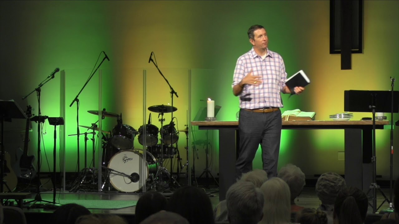 When Pigs Fly - The Miracle of Protection