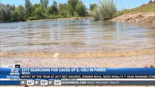 City Searching for Cause of E Coli in Boise Ponds