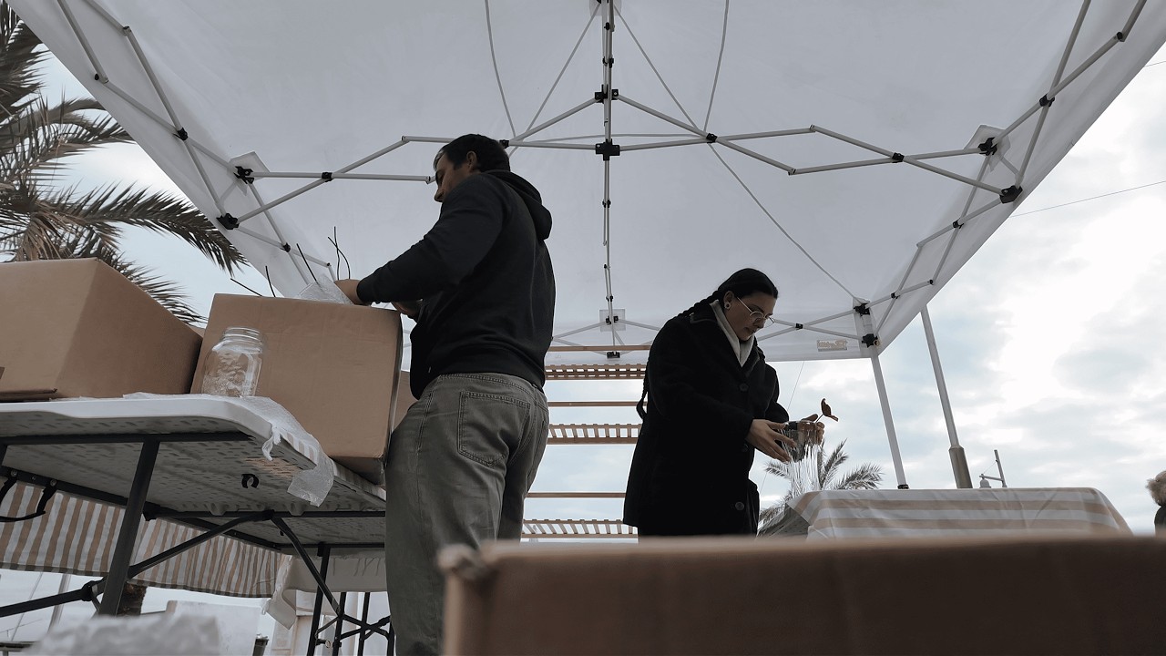 Vieni al lavoro con noi! Tordo di mare in umido e controllo dell'arnia
