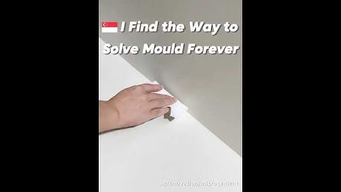 🇸🇬I Found the FOREVER Solution to Mould!#microcement #interiordesign #home #hdb #singapore