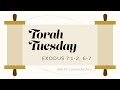 Torah Tuesday Exodus 7 1 2 6 7 Torah Tuesday Exodus 7 1 2 6 7