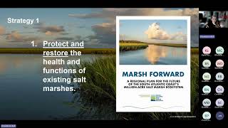SET Webinar Series: Partner Spotlight on the South Atlantic Salt Marsh Initiative