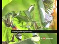 Asianet News Special 19th 2015