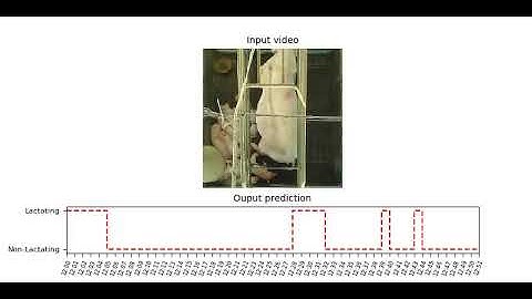Recognizing lactating behavior of sow using CNN+LSTM