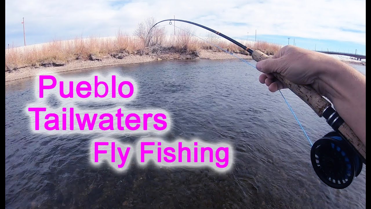 Pueblo Tailwaters How to Arkansas River Tail Waters CATCH HOGS fly