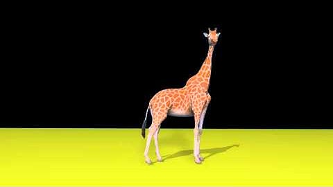 Giraffe Run & Walk Demo