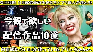 ネットフリックス廃人が選ぶおすすめ10選！11月配信作品分から選ぶ映画好きと繋がりたい 今月はしょっぱい