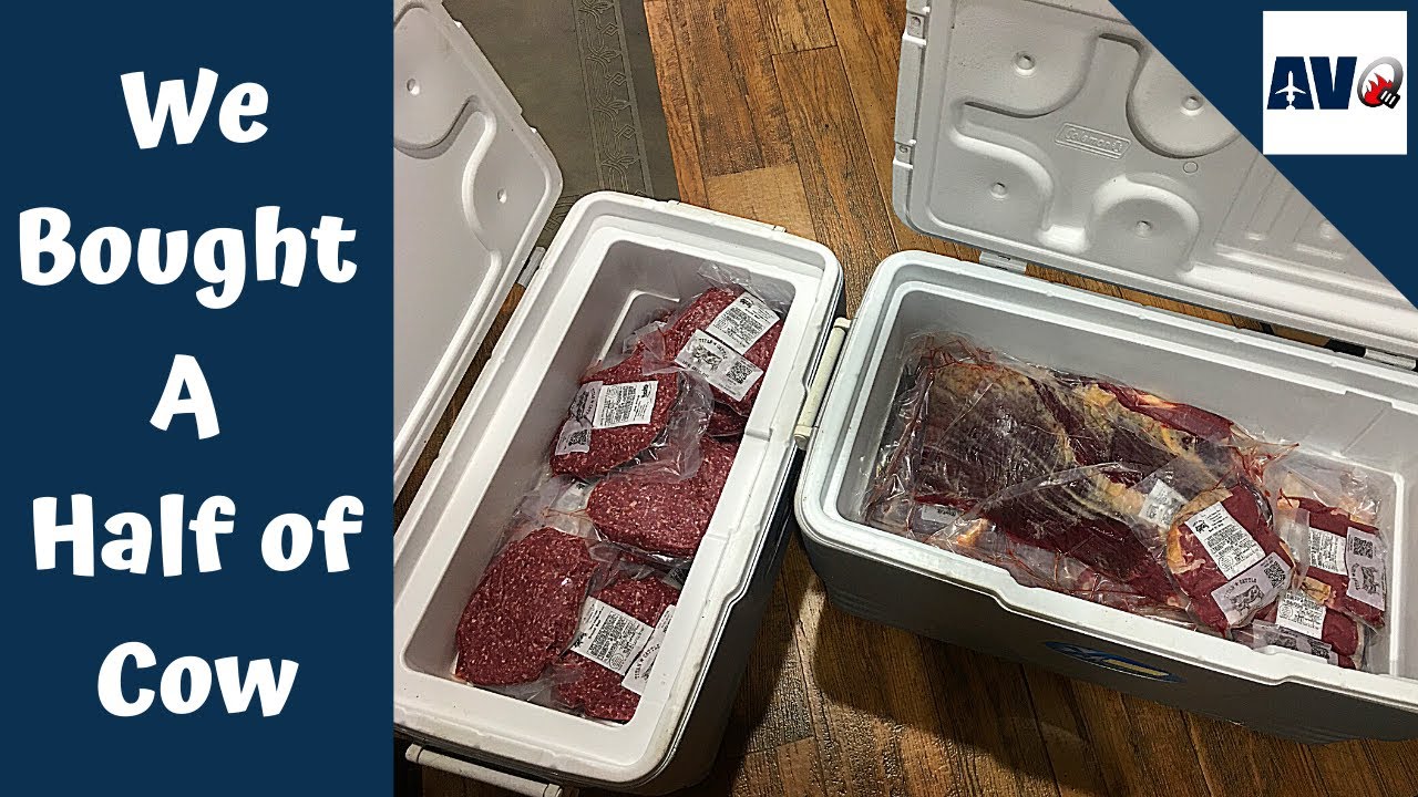 We Bought a 1/2 Cow YouTube