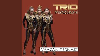 Macan Ternak