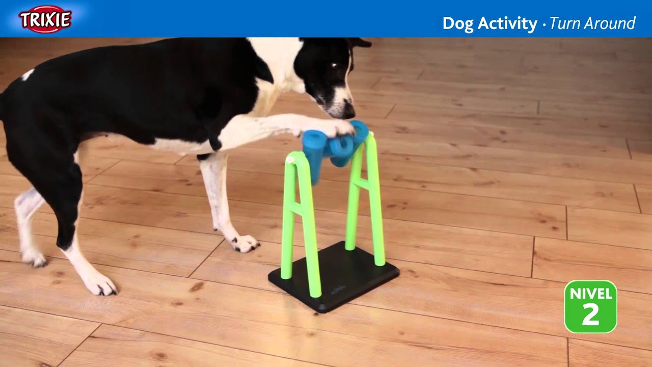 trixie dog activity juego interactivo