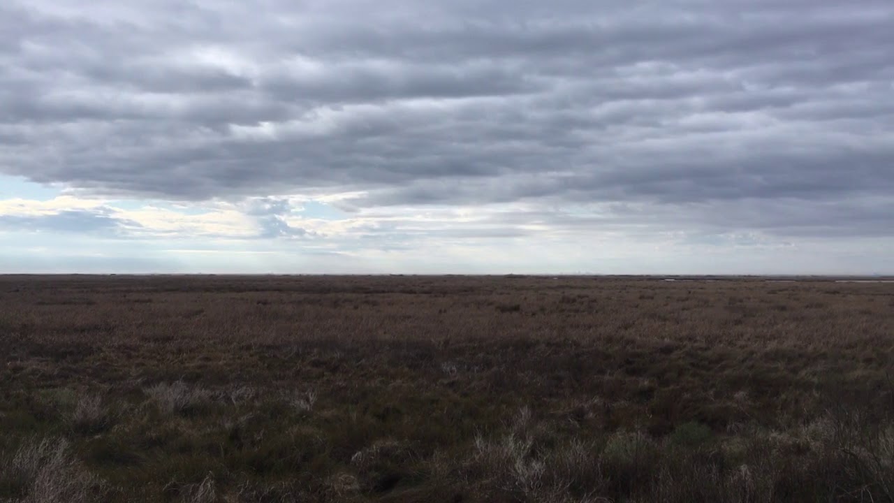 The Overlook on Boy Scout Road Trail at Big Branch Marsh NWR