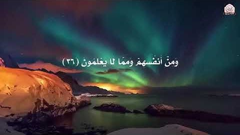 تلاوة خاشعـة   جده جدا تفيض جمالاً تنسيـك الدنيا وهمها سورة يس ❤
