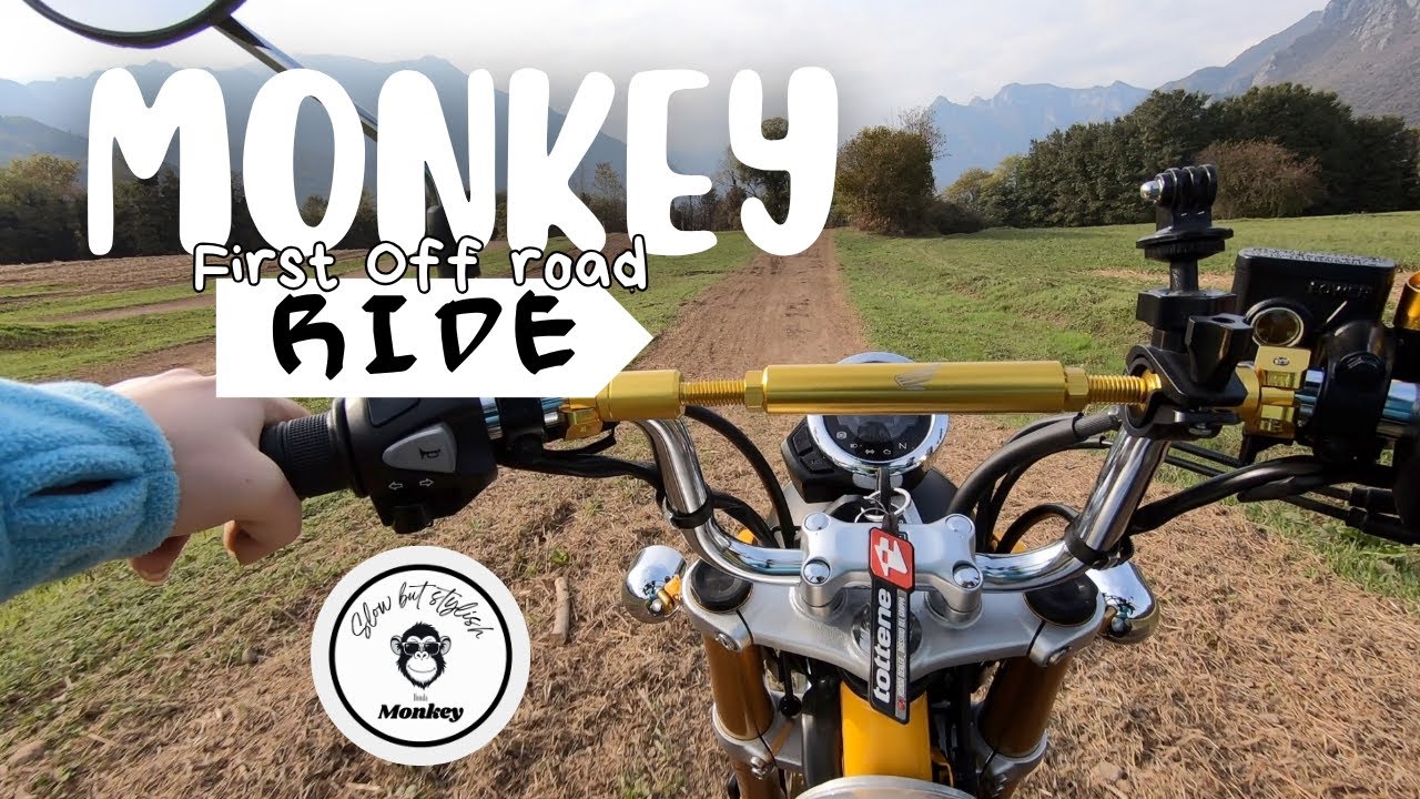 Honda Monkey 125 | Sorry for the Strutting 😂 | Monkey’s First Off Road Attempt